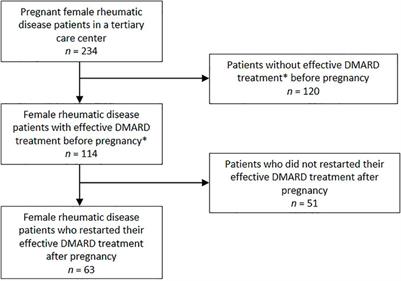 Biological and Methotrexate Survival after Pregnancy in Patients With a Rheumatic Disease